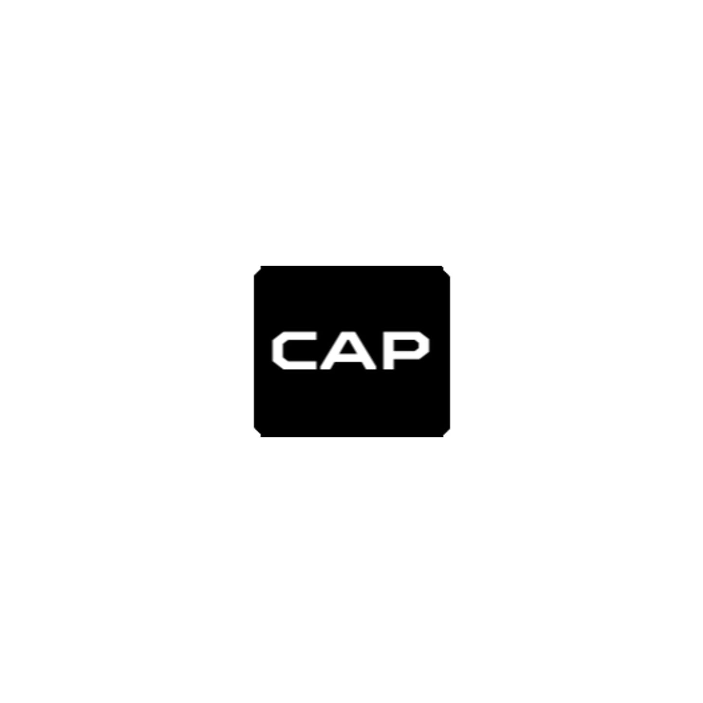 Coastal Auto Performance Bubble-free stickers - Coastal Auto Performance