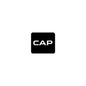 Coastal Auto Performance Bubble-free stickers - Coastal Auto Performance