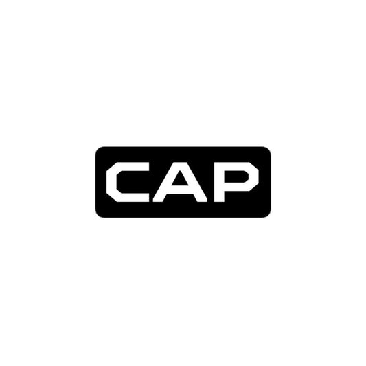 Coastal Auto Performance Bubble-free stickers - Coastal Auto Performance
