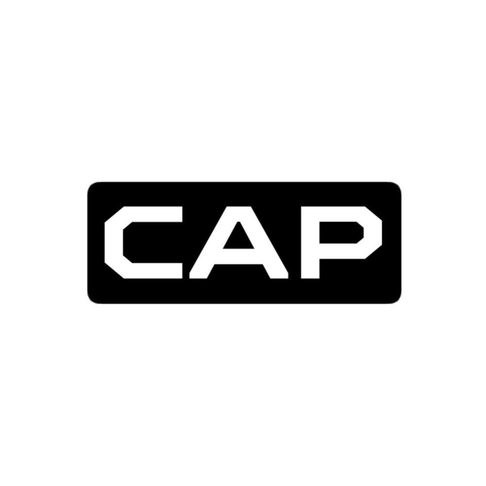 Coastal Auto Performance Bubble-free stickers - Coastal Auto Performance