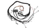 Haltech Toyota 2JZ Elite 2000/2500 Terminated Engine Harness - Coastal Auto Performance